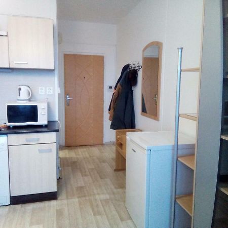 Studio Type Appartement Plzeň Buitenkant foto