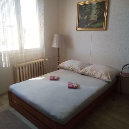 Studio Type Appartement Plzeň Buitenkant foto