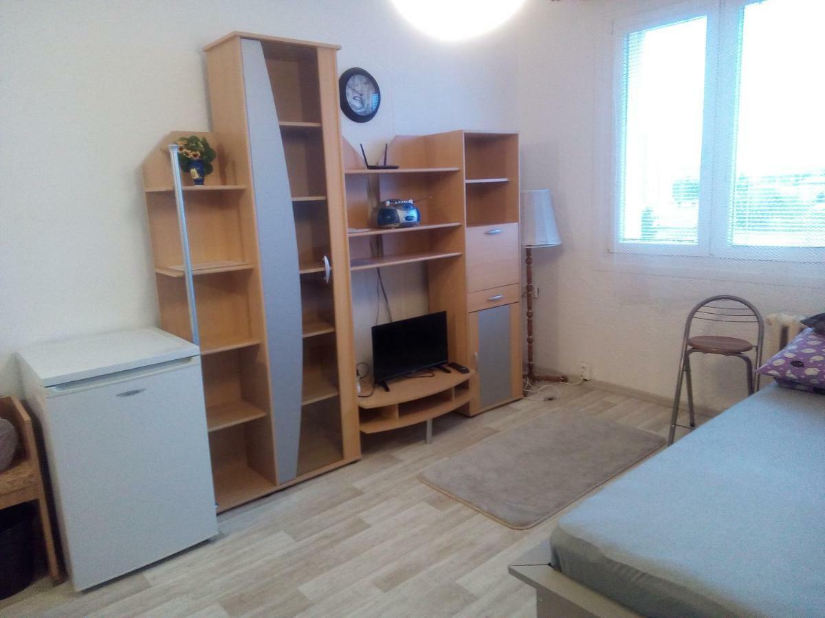 Studio Type Appartement Plzeň Buitenkant foto