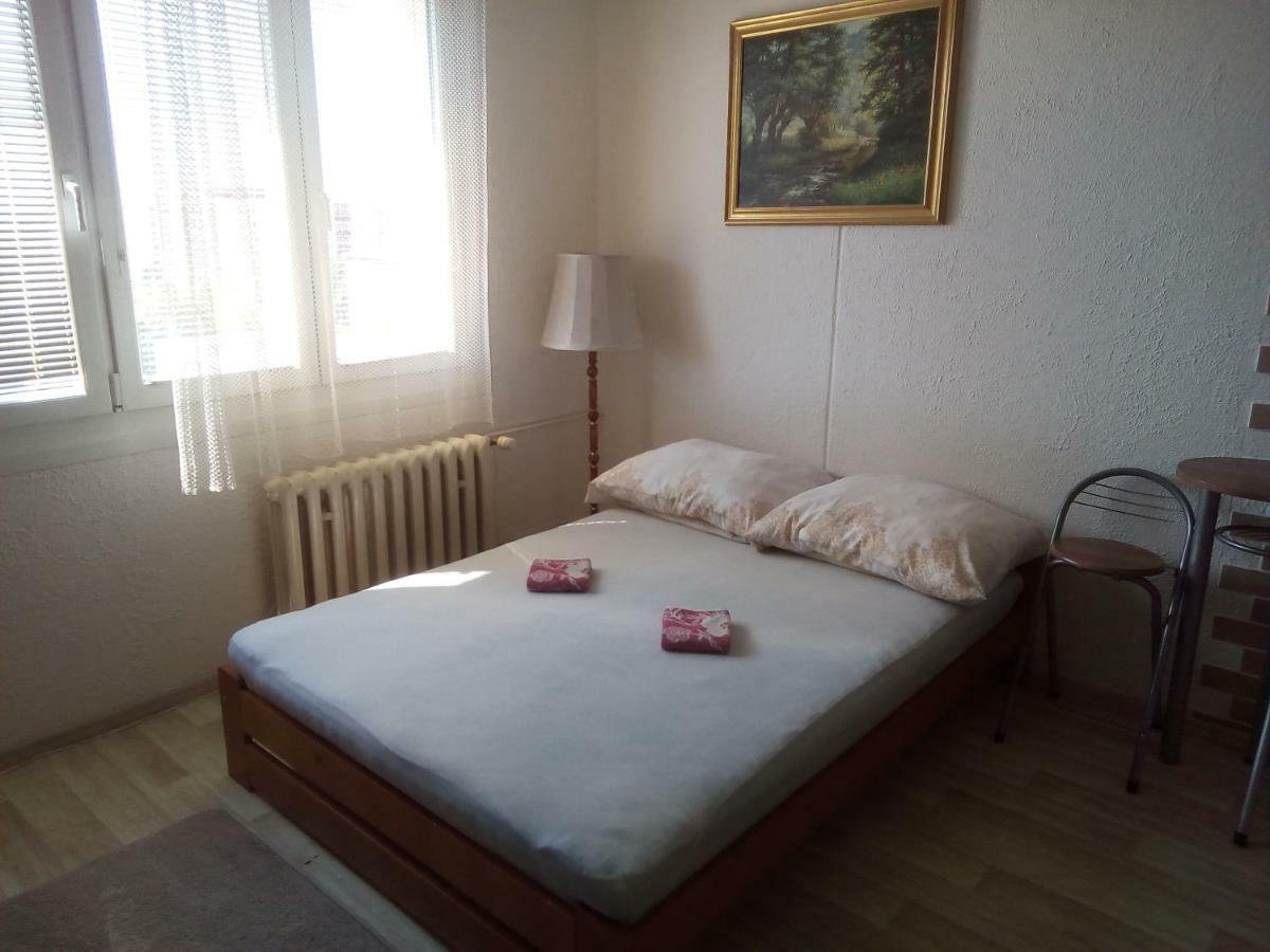 Studio Type Appartement Plzeň Buitenkant foto
